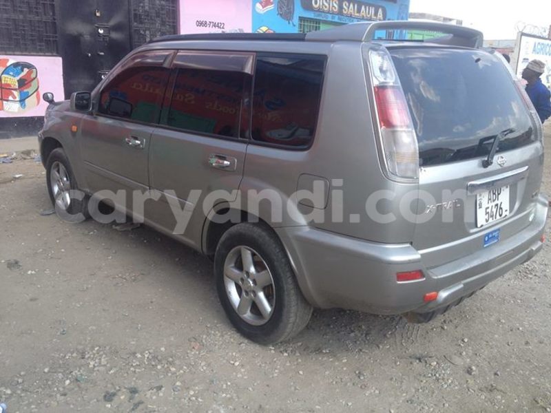 Big with watermark 14322753 152041765249206 4084601271133145777 n