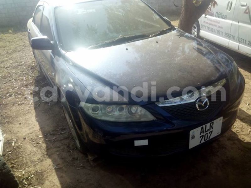 Big with watermark 14322753 152041765249206 4084601271133145777 n