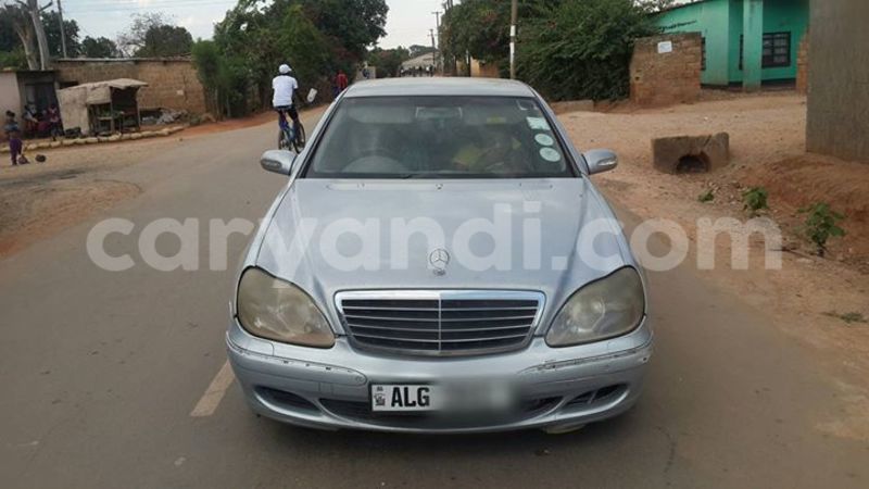 Big with watermark 14322753 152041765249206 4084601271133145777 n