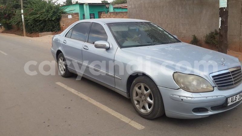 Big with watermark 14355616 1652943051684902 3641046762615807478 n