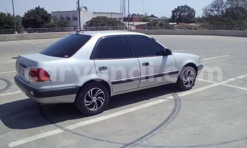 Big with watermark 14322753 152041765249206 4084601271133145777 n