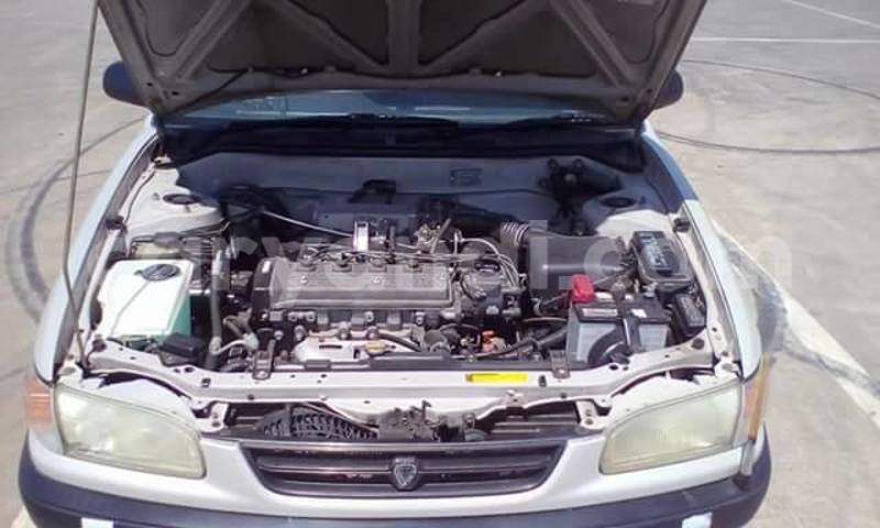 Big with watermark 14324596 10209113455147535 4826326470268354662 o