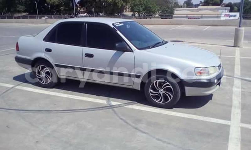 Big with watermark 14344360 195243170887525 1476089703380270021 n