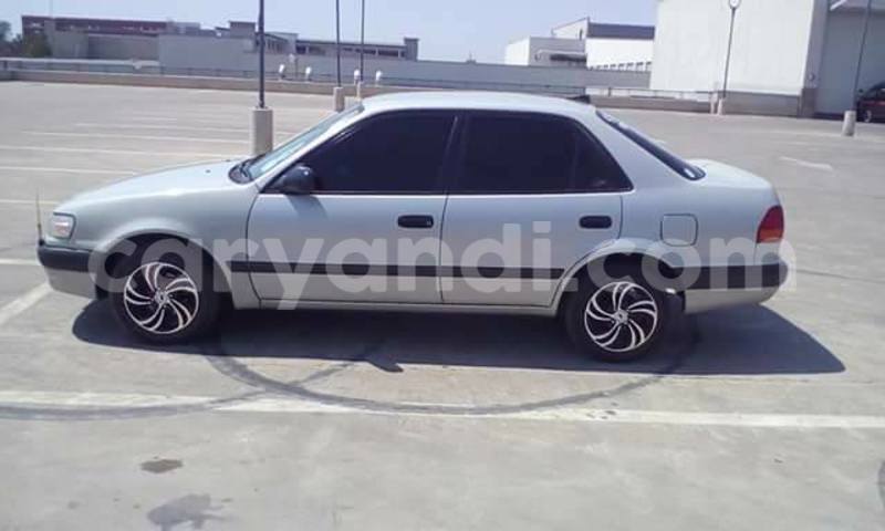 Big with watermark 14355616 1652943051684902 3641046762615807478 n