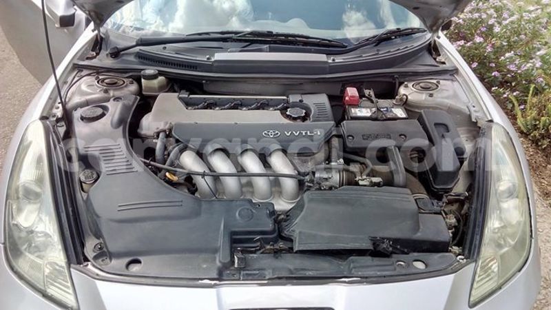 Big with watermark 14355616 1652943051684902 3641046762615807478 n