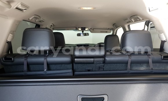 Tenga Tsaru Toyota Prado Chena Mota in Chingola in Zambia Tenga Tsaru Toyota Prado Chena Mota in Chingola in Zambia