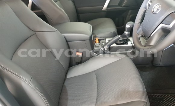 Tenga Tsaru Toyota Prado Chena Mota in Chingola in Zambia Tenga Tsaru Toyota Prado Chena Mota in Chingola in Zambia