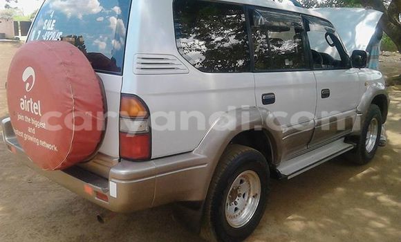 Buy Used Mitsubishi Pajero Silver Car in Chipata in Zambia