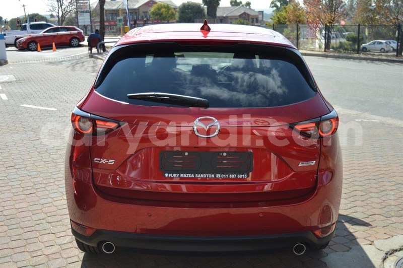 Big with watermark 4