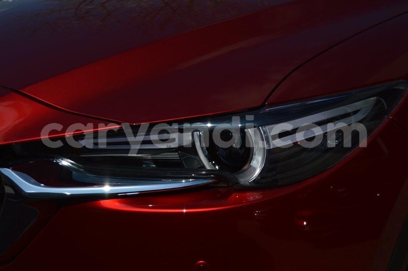 Big with watermark 5