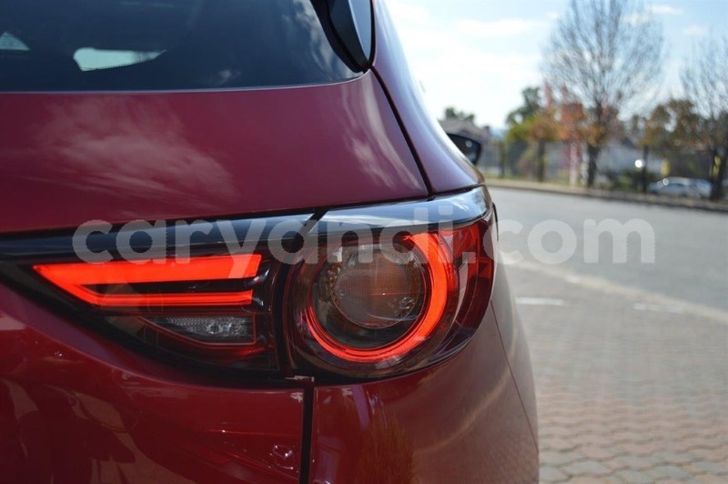 Big with watermark 6