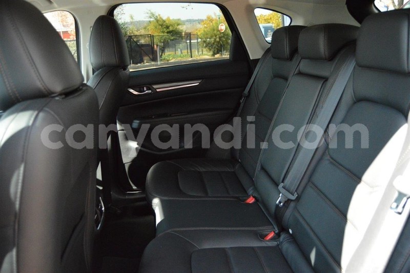 Big with watermark 9