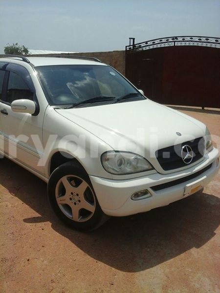 Big with watermark 14322753 152041765249206 4084601271133145777 n