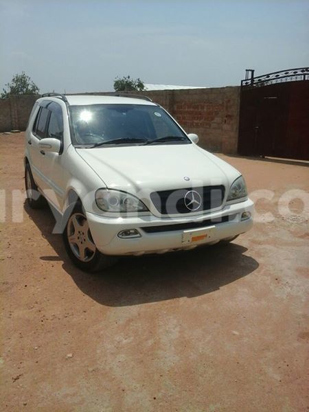 Big with watermark 14324596 10209113455147535 4826326470268354662 o