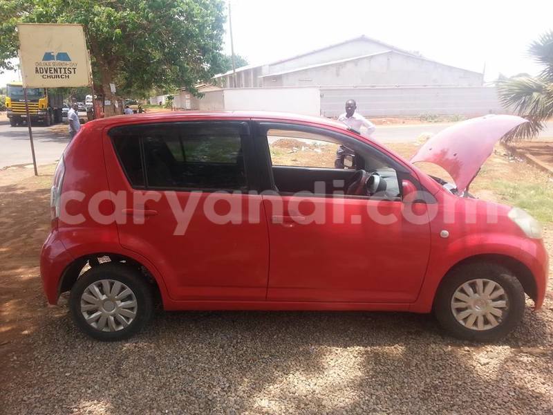 Big with watermark 14695326 1276538865723864 3907257530309395993 n