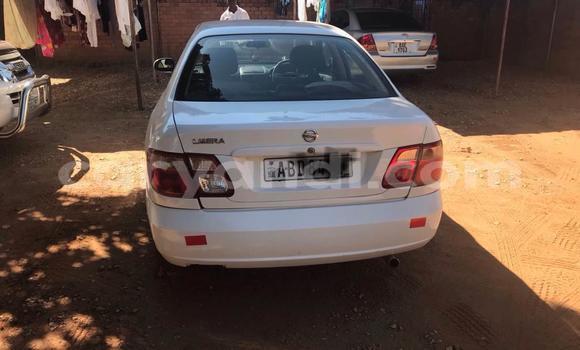 Buy Used Nissan Almera White Car in Lusaka in Zambia Buy Used Nissan Almera White Car in Lusaka in Zambia
