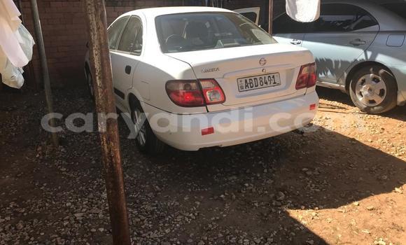 Buy Used Nissan Almera White Car in Lusaka in Zambia Buy Used Nissan Almera White Car in Lusaka in Zambia