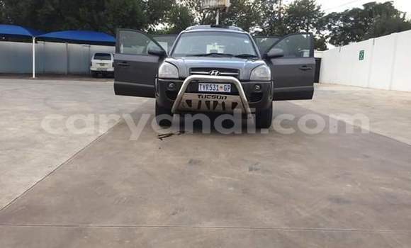 Tenga Tsaru Hyundai Tucson Nhema Mota in Livingstone in Zambia Tenga Tsaru Hyundai Tucson Nhema Mota in Livingstone in Zambia