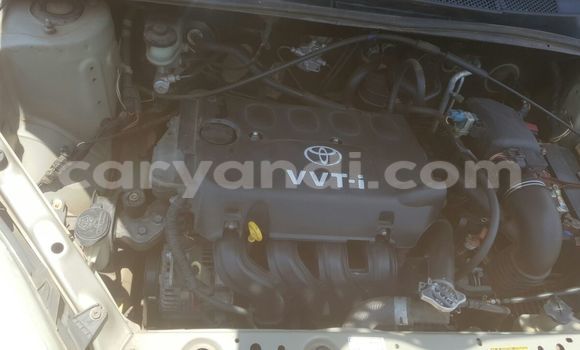 Tenga Tsaru Toyota Vitz Zvimwe Mota in Chipata in Zambia Tenga Tsaru Toyota Vitz Zvimwe Mota in Chipata in Zambia