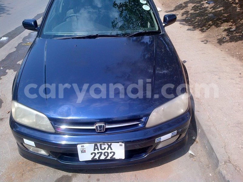 Big with watermark 14572839 1276538899057194 7605807282165903254 n