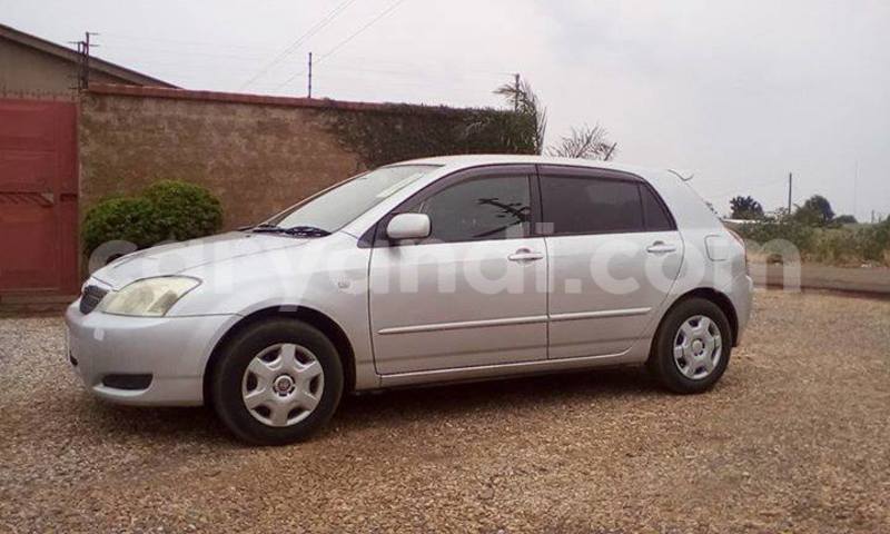 Big with watermark 14695326 1276538865723864 3907257530309395993 n