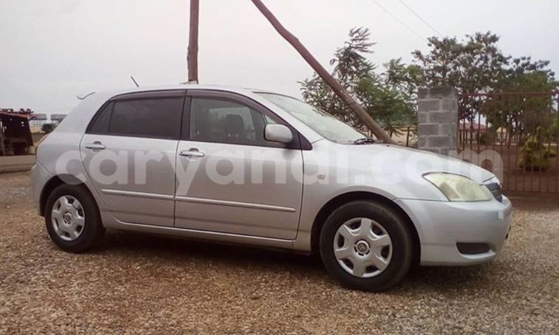 Big with watermark 14572839 1276538899057194 7605807282165903254 n