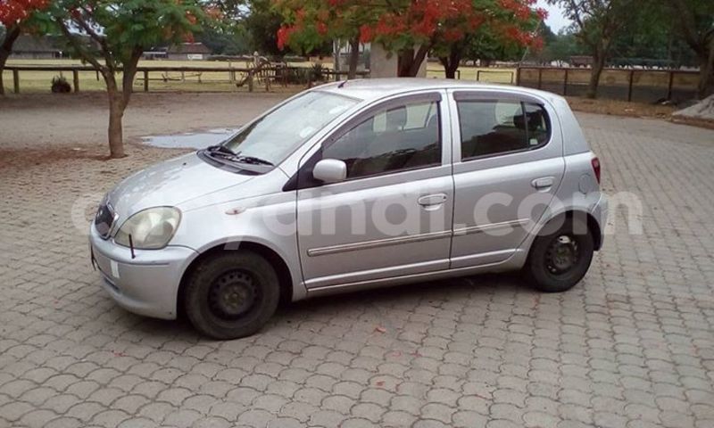 Big with watermark 14937420 10210899464142563 5142262507148257599 n