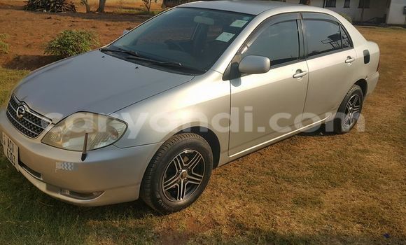 Tenga Tsaru Toyota Corolla Sirivha Mota in Chipata in Zambia Tenga Tsaru Toyota Corolla Sirivha Mota in Chipata in Zambia