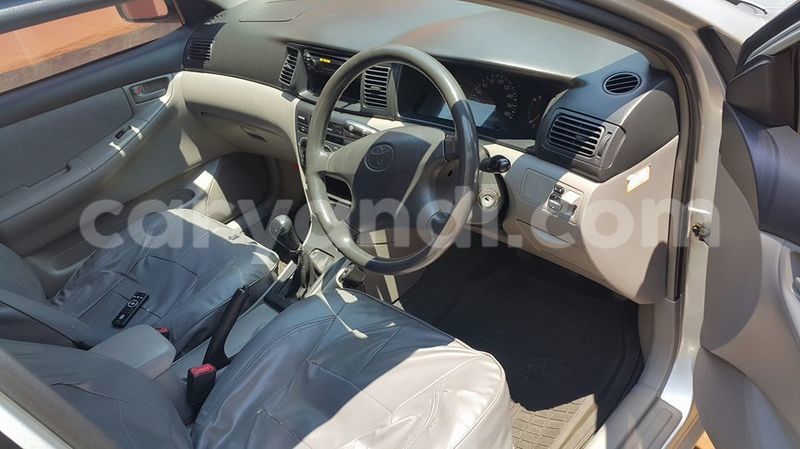 Big with watermark 14937420 10210899464142563 5142262507148257599 n