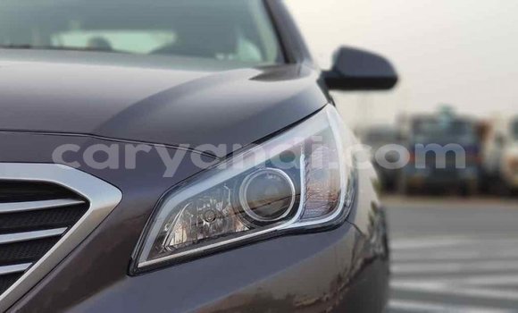 Buy Import Hyundai Sonata Brown Car in Import - Dubai in Zambia Buy Import Hyundai Sonata Brown Car in Import - Dubai in Zambia