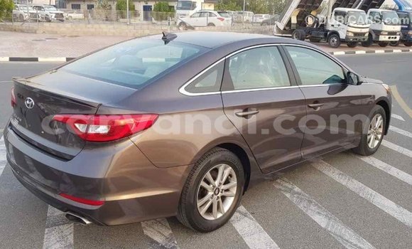Buy Import Hyundai Sonata Brown Car in Import - Dubai in Zambia Buy Import Hyundai Sonata Brown Car in Import - Dubai in Zambia