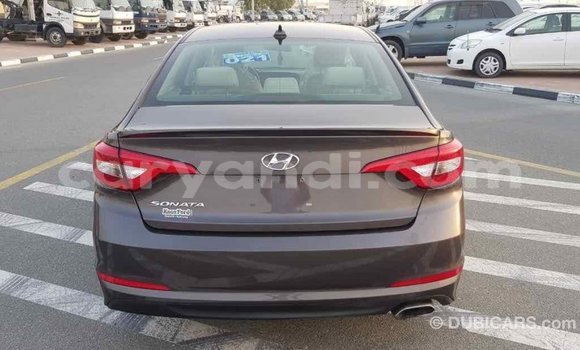 Buy Import Hyundai Sonata Brown Car in Import - Dubai in Zambia Buy Import Hyundai Sonata Brown Car in Import - Dubai in Zambia