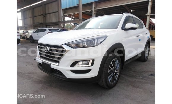 Buy Import Hyundai Tucson White Car in Import - Dubai in Zambia Buy Import Hyundai Tucson White Car in Import - Dubai in Zambia