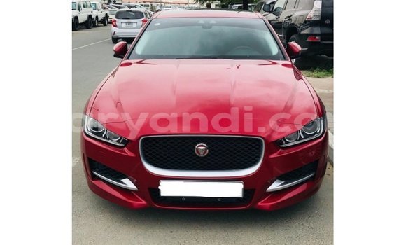 Buy Import Jaguar XE Red Car in Import - Dubai in Zambia