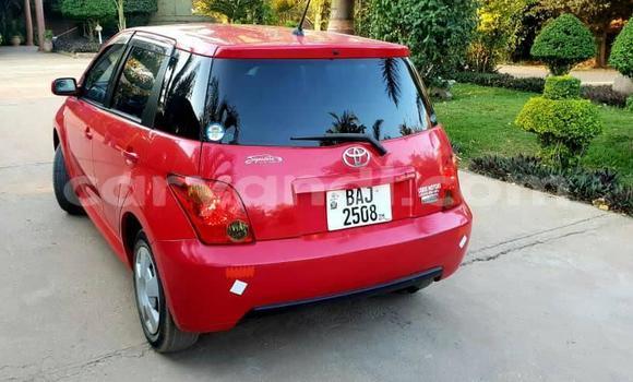 Buy Used Toyota IST Red Car in Lusaka in Zambia Buy Used Toyota IST Red Car in Lusaka in Zambia