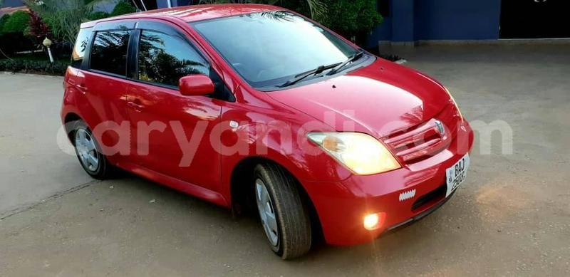 Big with watermark 67346060 2461124373976043 3841078429218766848 o