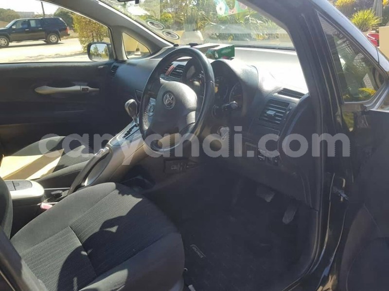 Big with watermark 67222293 2461124630642684 8685413162394058752 n