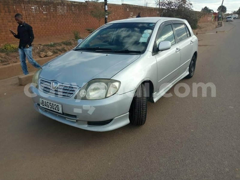 Big with watermark 66653852 2454377614650719 5826640397115326464 n