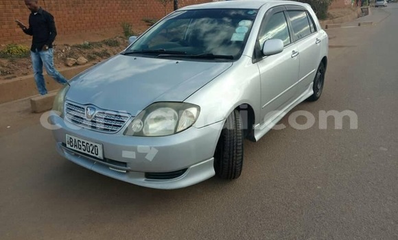 Buy Used Toyota Allex Silver Car in Lusaka in Zambia Buy Used Toyota Allex Silver Car in Lusaka in Zambia