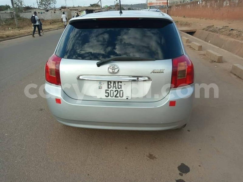 Big with watermark 64761691 2454377484650732 3592435264850493440 n