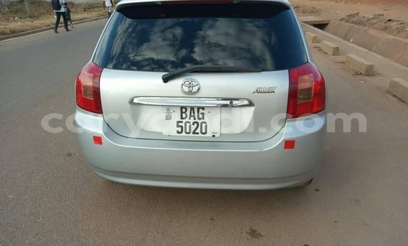 Buy Used Toyota Allex Silver Car in Lusaka in Zambia Buy Used Toyota Allex Silver Car in Lusaka in Zambia