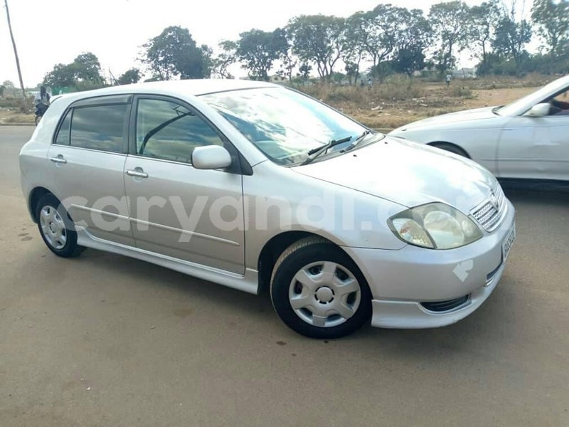 Big with watermark 66606116 2454377531317394 6946644778444390400 n