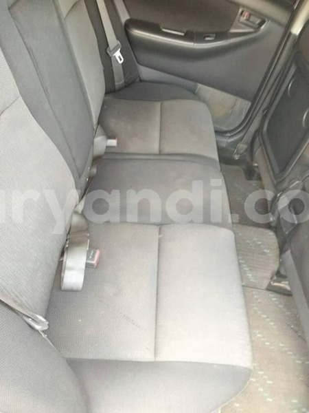 Big with watermark 66690886 2454377444650736 2451188683945017344 n