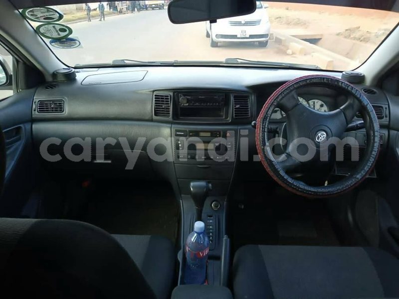 Big with watermark 67255661 2454377467984067 8458154867825836032 n