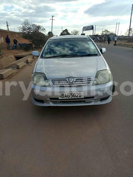 Big with watermark 66480743 2454377454650735 1418182752141836288 n