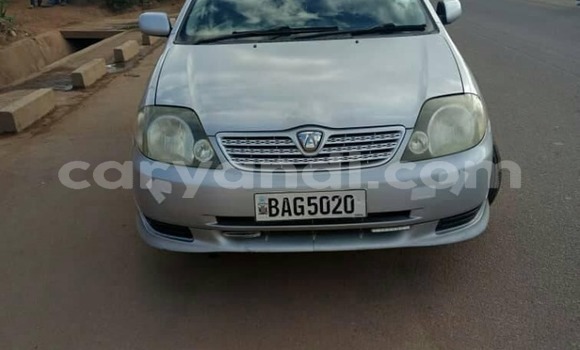 Buy Used Toyota Allex Silver Car in Lusaka in Zambia Buy Used Toyota Allex Silver Car in Lusaka in Zambia