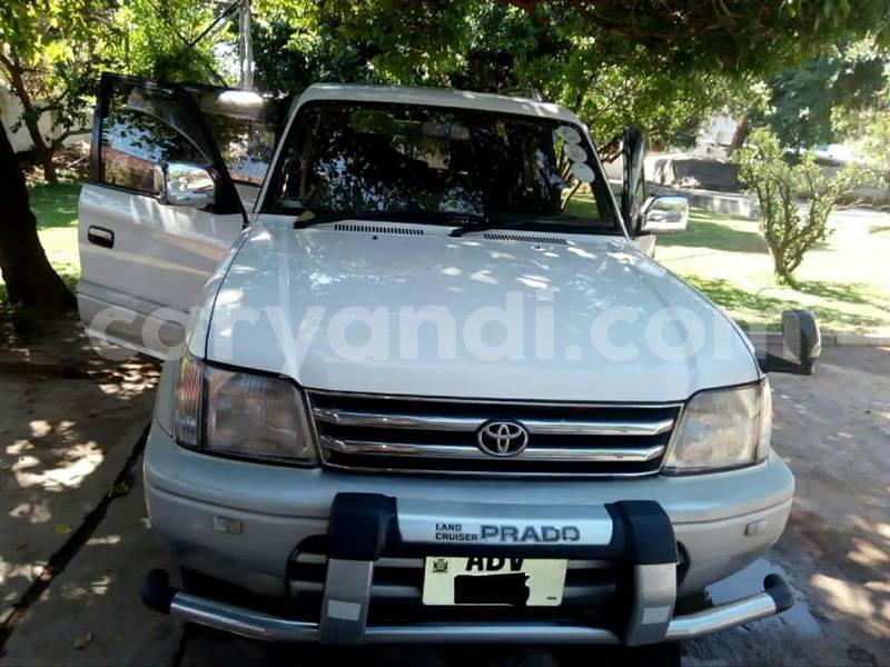 Big with watermark 52605182 2232731950148621 6261974008745426944 n