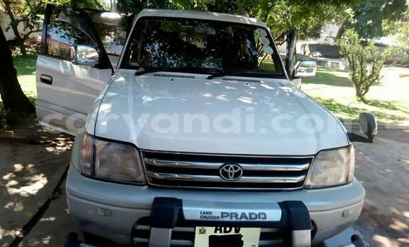 Buy Used Mitsubishi Pajero White Car in Lusaka in Zambia Buy Used Mitsubishi Pajero White Car in Lusaka in Zambia