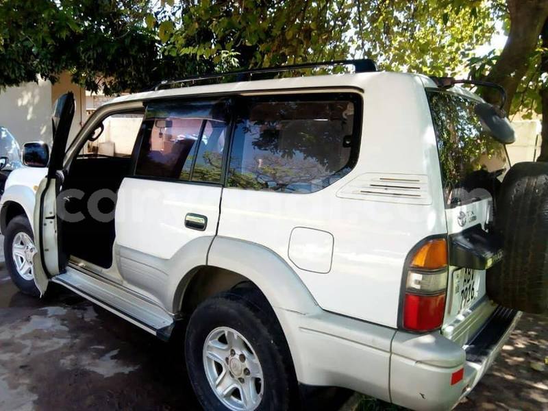 Big with watermark 52378350 2232731860148630 5220650675205046272 n