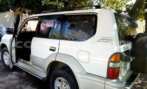 Buy Used Mitsubishi Pajero White Car in Lusaka in Zambia Buy Used Mitsubishi Pajero White Car in Lusaka in Zambia